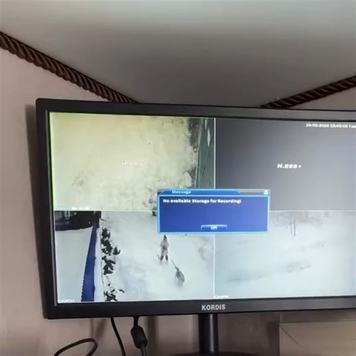 Риддерский городской портал on Instagram: "Добрый день! Только вчера был скандал по поводу того, что собака бегает и всех кусает. Сегодня уже история с другой собакой, в этом же районе. В камерах наблюдала такую картину, что собака бегает с поводком по нашей улице. Гналась за какой-то собакой маленькой, далее я наблюдаю картину как хозяин собаки безуспешно пытаются её поймать. Потом я вижу как видимо ребёнок, который попросту не может удержать собаку на поводке, пытается её увести. У меня только