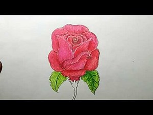 How to Draw a Rose for Kids!