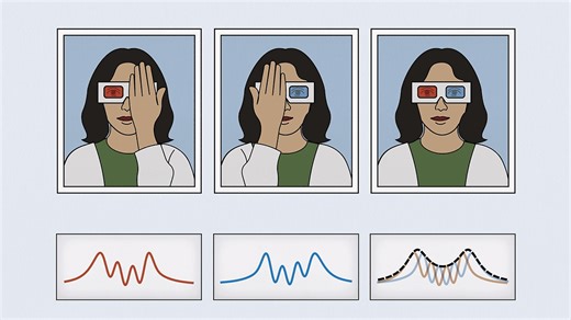 The quantum eraser doesn’t rewrite the past – it rewrites observers – Physics World