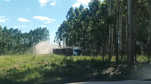 Videos de pirucho_14 (@pirucho_14) con “sonido original - 🎶🎵𝕊𝕠𝕝𝕠 𝕖𝕤 ℝ𝕠𝕔𝕂🤘🎸”