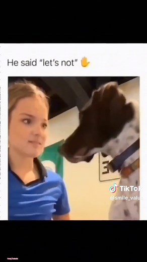 Laugh-Out-Loud Cute Dogs Compilation