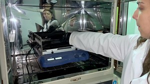 Ultrastructural Expansion Microscopy in Three In Vitro Life Cycle Stages of Trypanosoma cruzi