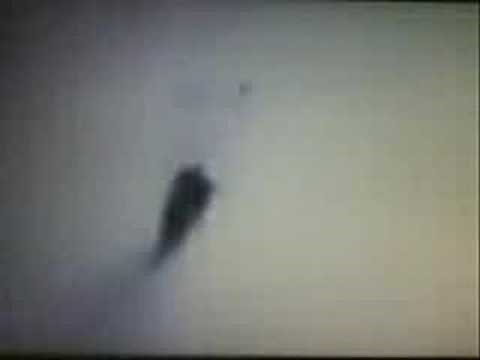 Alienware Screen Saver