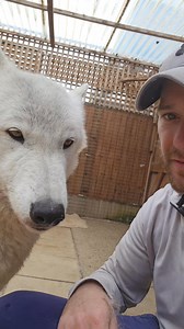 270K views · 11K reactions | Sully woke up abit grumpy this...