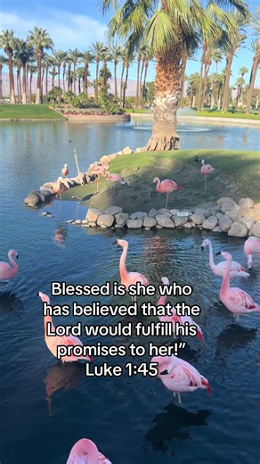 Faith Building Through Trust in God's Promises