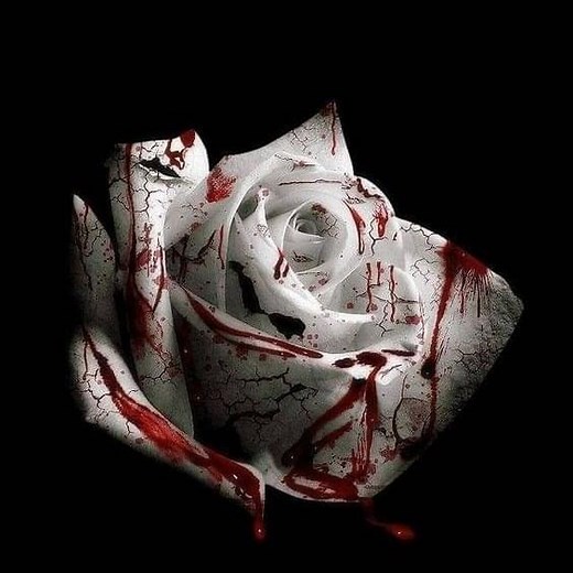 D4vd - Romantic Homicide Lyrics