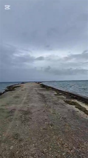 Join us for a glimpse into a day in the life of Peace Corps Tonga Sarah Slattery (G87), an Environmental Volunteer serving in Nuku‘alofa. From fieldwork to island moments, her service captures the spirit of Peace Corps Tonga 🏝️ #PeaceCorpsTonga #PeaceCorps #FriendsOfTonga #Tonga #ADayInTheLife | Friends of Tonga