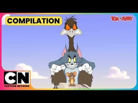 Tom & Jerry’s Wild Adventure!🌿| Tom and Jerry😺| Cat & Mouse Cartoon😁| ‪@cnindia‬ ​