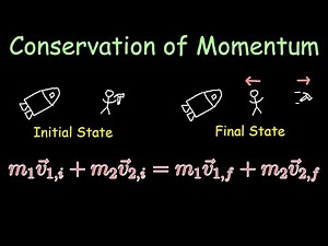 Conservation of Momentum | Physics Tutorial