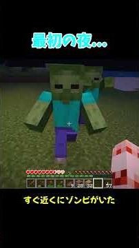 最初の夜、覚えてる？ #マイクラ #マインクラフト #ゆっくり実況 #minecraft #java版 #まいくら #マイクラjava版#初心者