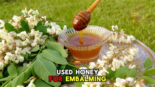 Raw Honey and Health Benefits: Everything You Need to Know Before Buying