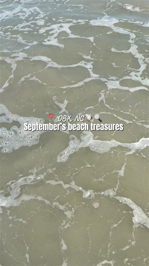 What’s the coolest thing you’ve ever found on the beach? 🐚🪼🌊 #obxbeachtreasures #obxbeach #outerbanks #NorthCarolinaBeaches #beachcombing | Joe Lamb Jr. & Associates