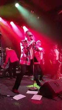 Rock & Roll Band Marcela Woodmana - NEDOKUS #rocknroll #music #livemusic