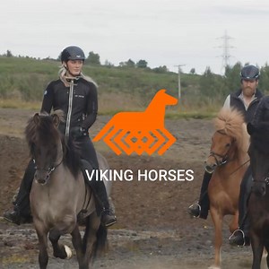 🐎 Buckle up for an unforgettable ride! 🌋 Join our Volcano Tour in Iceland's stunning wilderness, no experience needed! Ride a calm Icelandic horse through red lava hills of Rauðhólar. Includes Reykjavík pick-up, gear, snacks & photos. Saddle up: vikinghorses.is/tours/volcano-tour | Viking Horses