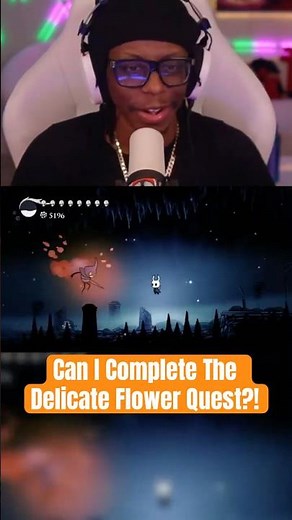 Can I Complete This Delicate Flower Quest?! | Hollow Knight