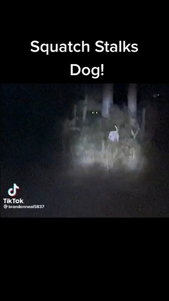 Watcher #bigfoot #bigfootisreal #sasquatch #dogman #cryptid #mystery #horrortok #scary #monster #hiking #horror #fyp #foryou #scared #fy