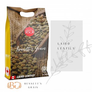 Canadian Lentils Supplier & Exporter