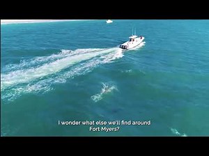 Become a Fort Myers Summer Nature Navigator