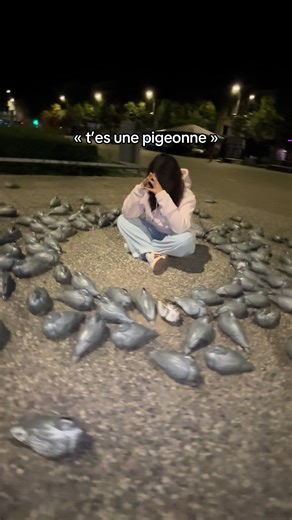 Humour sur les Pigeons : Un Regard Amusant