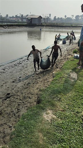 Fishing Time #ShortDrama #share #fishing #fishingdaily #ytviral #youtubevideo