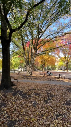 UChicago College Admissions on TikTok