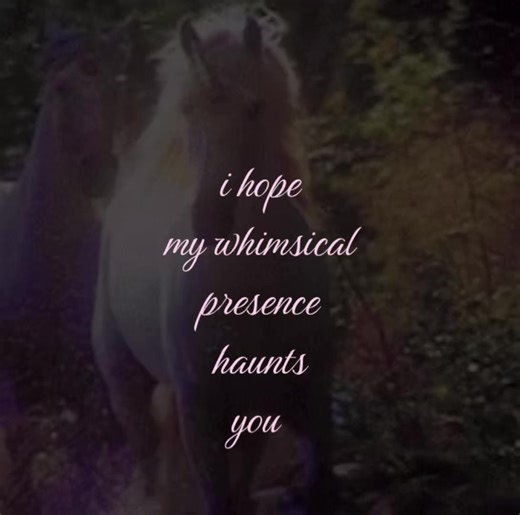 Whimsical Presence: A Touch of Humor