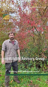 1.2K views · 11 reactions | Want to learn more about woodlands? Our...