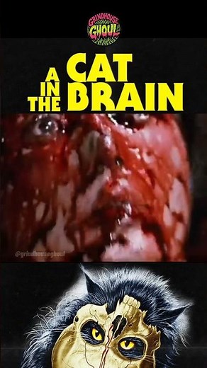 Grindhouse Gems: A Cat in the Brain (1990)
