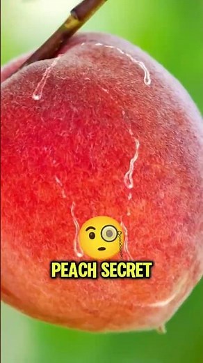 Why Peaches Have Fuzz… And It’s Not What You Think 🍑 #facts