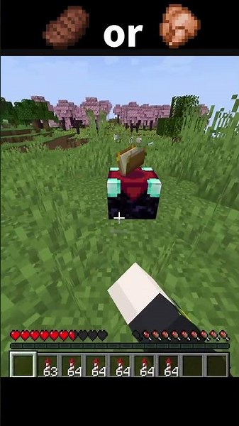 Beef or Chicken #Minecraft