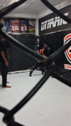 Dynamic MMA on Reels