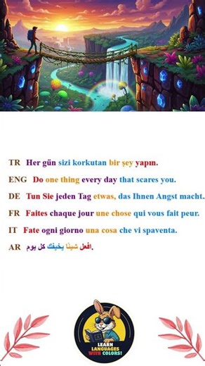 The 6 Languages of Courage: What Will You Risk Today?