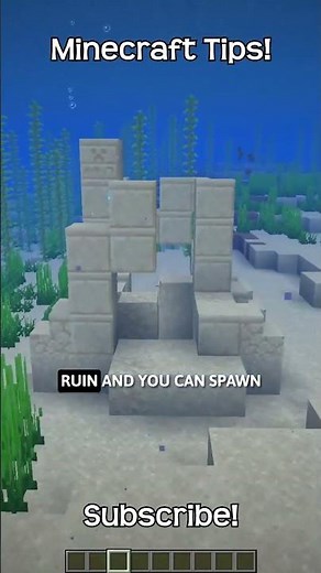What Is The Command To Spawn Warm Ocean Ruins In Minecraft?!