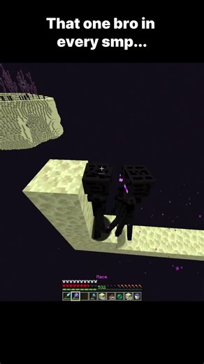 That one bro in every smp... #minecraft