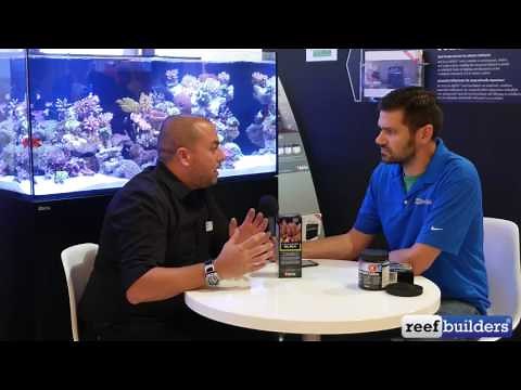 Aquarium Science with Red Sea's Sharon Ram Part 1: NO3-PO4-X