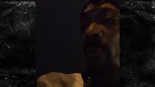 Snoop Dogg -- Arrested in Sweden ... Claims Racial Profiling (VIDEO)