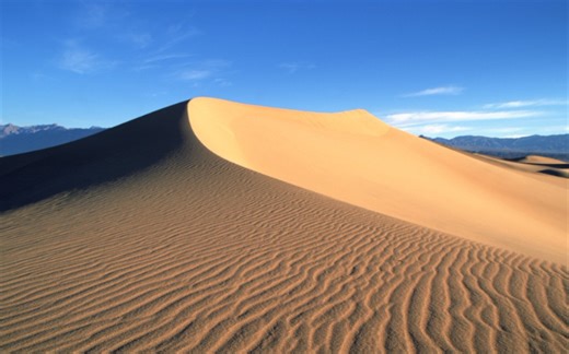 15天入门生物信息（2021年）