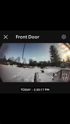 Two steps forward with snow removal and three steps back! The creature approaching the house is me attemptingto get to the front door where the shovel is! So graceful. You can see how deep the snow is. I couldn't even open the door before shoveling. I was able to make a path to the driveway. The town plow had come by after our driveway had been plowed. It made a nice bank of snow at both ends of the driveway. I asked our plow guy to come by again. He came by after I shoveled the stairs and walkw