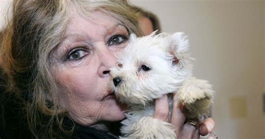 Brigitte Bardot : la photo de son faire-part de décès a été dévoilée, "celle qu'elle préférait entre toutes"