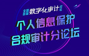 个人信息保护合规审计分论坛《个人信息保护合规审计实务报告》