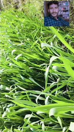 jis mod Se gujre Hain use mod Se