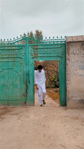 Amazing Walk Compilation