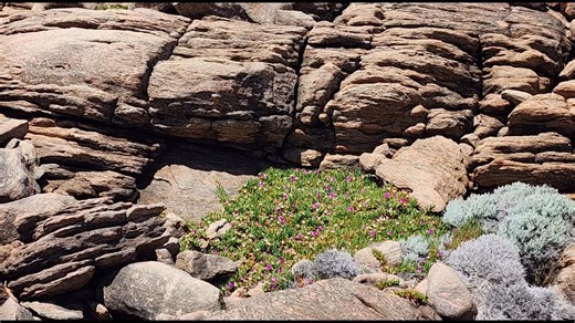 Rob C. Stanley on Reels