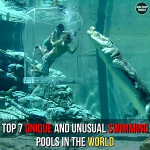 22K views · 416 reactions | Top 7 Unique And Unusual Swimming Pools In The World | Whatsup World | Facebook