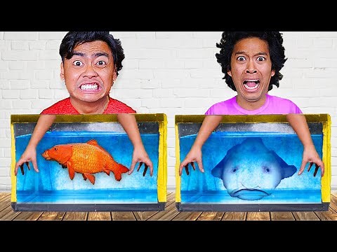 Don't Choose The WRONG Aquarium - Challenge