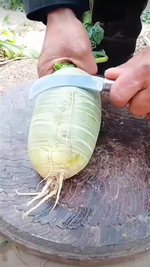 Quick Farming Hacks for Efficient Plant Growth