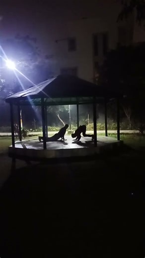 Marcos Commando👈🥷 #shortsfeed #shorts #viralreels #virlshorts