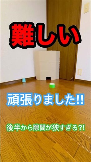 【応用】大きめのテープを転がしていろんな隙間を通り抜けてみた‼︎ #shorts