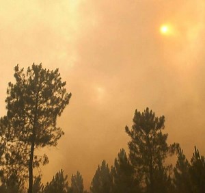 Investing $1.8 trillion on these five things will make the world "climate change resilient", says a major global cost-benefit analysis. | BBC World Service