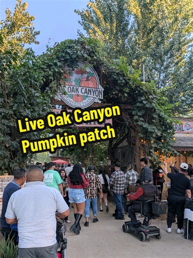 L'événement incontournable de l'automne près de Los Angeles 🎃 Bienvenue à Live Oak Canyon, le plus grand et le plus spectaculaire Pumpkin Patch du sud de la Californie. Au programme : des milliers de courges, un spot photo à ne pas manquer, des manèges, un food court et un immense labyrinthe hanté dans les maïs. Live Oak Canyon pumpkin patch est ouvert à partir du 17 septembre jusqu'au 2 novembre à partir de 16h en semaine et 10h les week-ends 📍32335 Live Oak Canyon road à Redlands #pumpkinpat